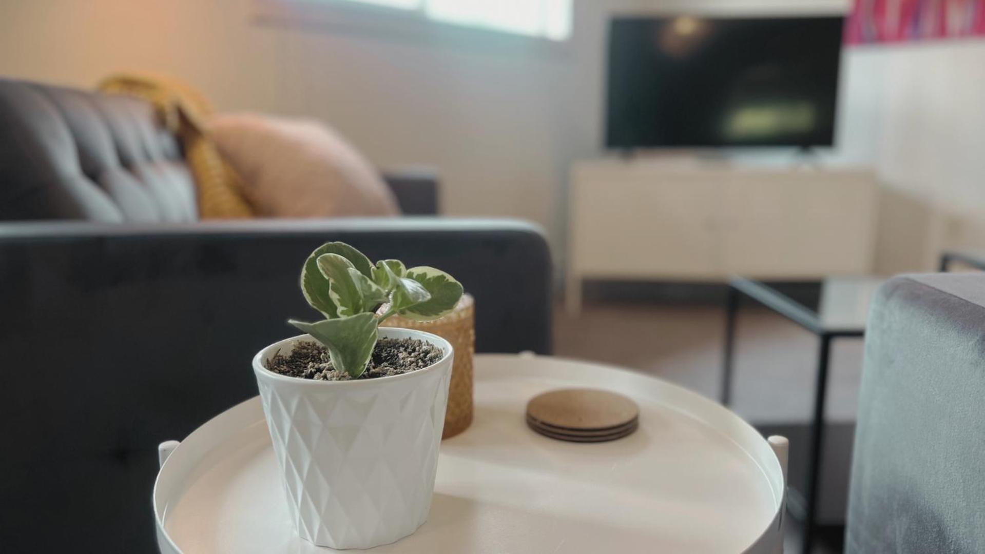 Fieldstone Guesthouse クリアウォーター エクステリア 写真